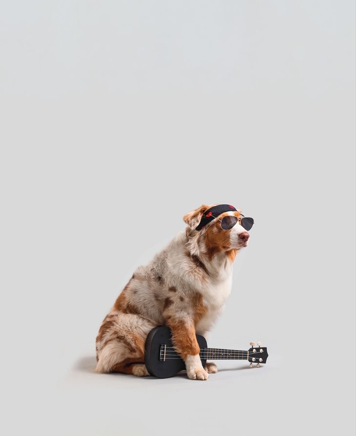 Cabaret Louvain, Chanson francophone, Sortie Brabant wallon