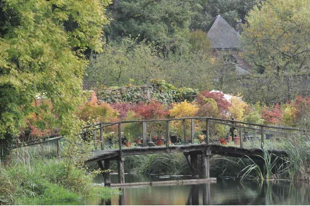 Plantes, Jardin, Nature