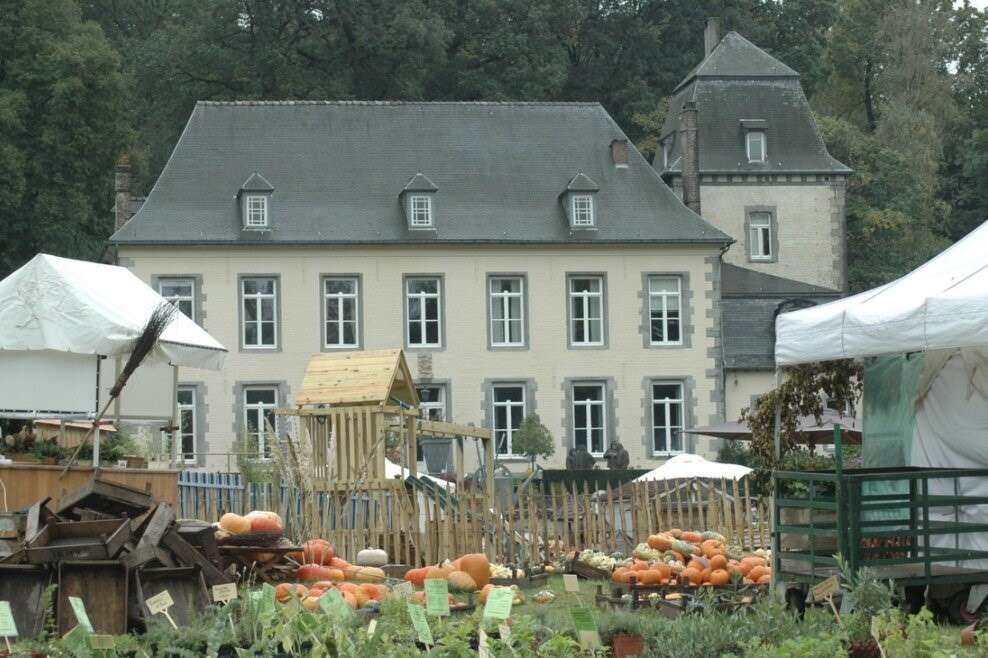 Plantes, Jardin, Nature