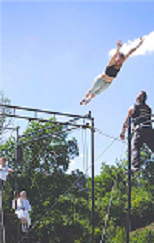 Cirque, Wavre, Festival