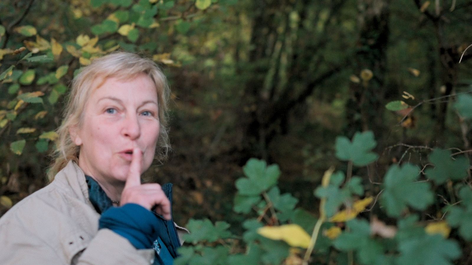 « La Sagesse de nos Arbres » : le documentaire qui pousse comme un jardin s’arrête à Wavre et à Lasne