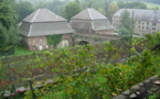 Villers-la-Ville : Visite guidée du Vignoble de l'Abbaye