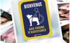 Wavre souhaite la bienvenue aux chiens d'assistance