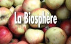 La Biosphère - le grand marché bio ouvert sept jours sur sept et situé à Dion Valmont