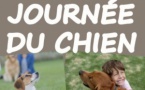 La Journée du chien | Le 8 mai 2022 | Waterloo