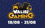 WALIBI GAMING : l’événement esport incontournable de l’été !
