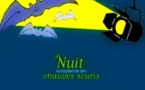 La Nuit Européenne des Chauves-souris en Wallonie
