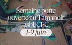 Plongez dans l’univers du Tamanoir : une semaine d’ateliers, d’expos et de balades créatives !