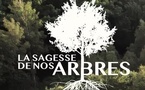 La sagesse de nos arbres : un documentaire qui poursuit son voyage en novembre dans le cadre du mois du doc