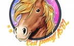 Aujourd’hui C’est Poney ! : Julie Henrard, une passion au service du lien humain et animal