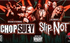 Une soirée nu metal et tribute au cœur de Virginal-Samme
