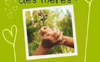 Louvain-la-Neuve : Une balade pour fêter les mamans : un moment suspendu au cœur de la nature