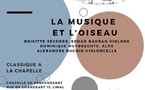 La Musique et l'Oiseau : Une Expérience Fascinante où la Nature Rencontre l'Art