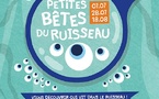 Les petites bêtes du ruisseau : une immersion scientifique au cœur de la nature