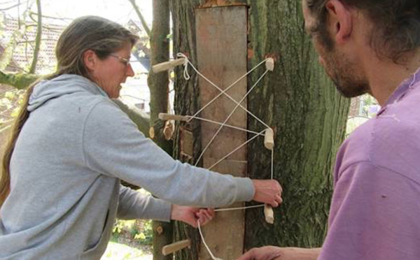 Wavre inaugure la 2e ruche-tronc de Belgique