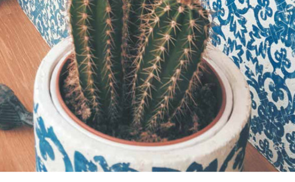 Déco, mode et vêtements à Rixensart : BATISTA, quand le rêve devient réalité