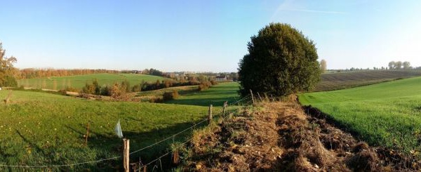 NIVELLES: Concours photos