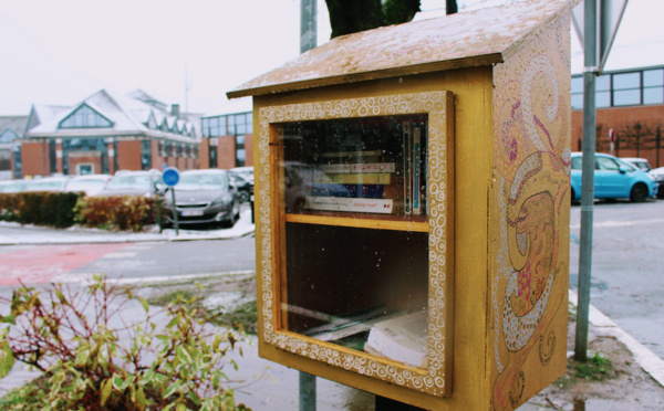 Waterloo : Trois nouvelles boîtes à livres pour un hiver d'évasions littéraires