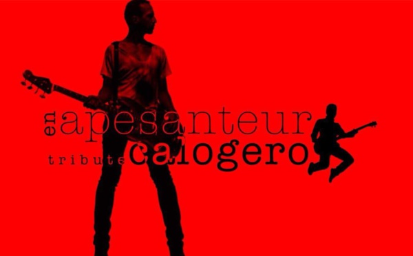 Nouveau : Le groupe de cover « En apesanteur »