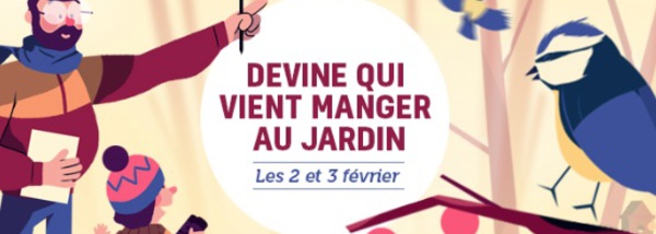 Faut-il nourrir les oiseaux du jardin ?