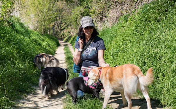 The Dog Nanny : La douce voix des chiens du Brabant wallon, Comportementaliste et éducateur canin (Waterloo et Brabant wallon)