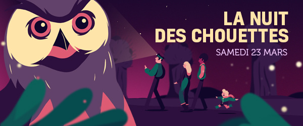 Lasne et Houtain le Val : Une nuit à l'écoute des rapaces nocturnes