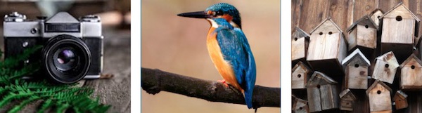 Lasne fête les oiseaux les 27 &amp; 28 avril