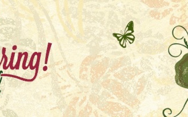 WELCOME SPRING FESTIVAL 2013