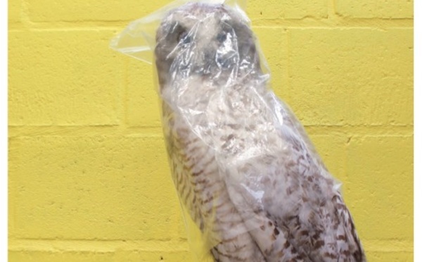 8ème Biennale d’Ottignies-Louvain-la-Neuve ￼￼￼