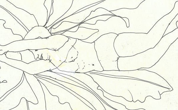 AU BORD DU MONDE À OTTIGNIES