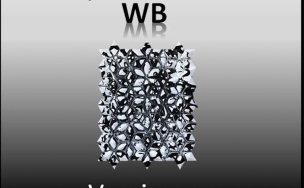 Exposition | Monsieur Philibert présente Aequilibrium WB | Du 9 au 20 mai 2022 | Waterloo