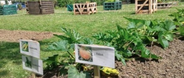 APPEL AUX PARTICIPANTS pour le JARDIN COMMUNAUTAIRE DE WAVRE