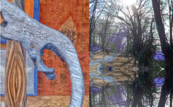 Expo monumentale à Ittre : inspiration et respiration végétales