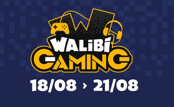 WALIBI GAMING : l’événement esport incontournable de l’été !