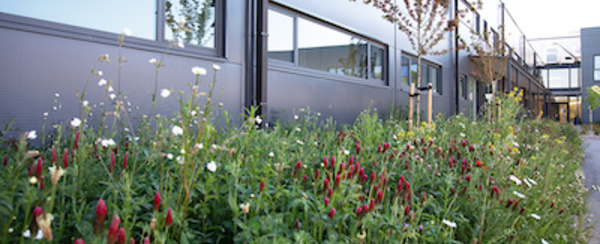 Brabant wallon : Maillage écologique et biodiversité