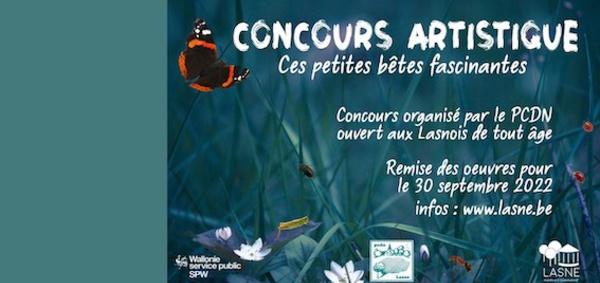 Concours dessins à Lasne : Ces petites bêtes fascinantes