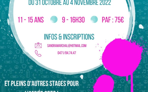 Wavre : 🎨🤸‍♀️ Stage - Vitamine Z 🤸‍♀️