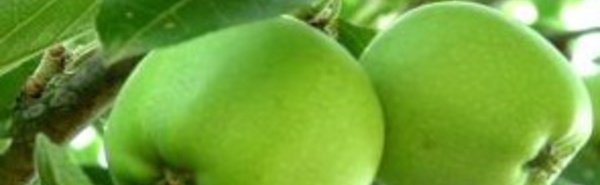 JOURNEE DU CLIENT A WAVRE. SOUTIEN A L’AGRICULTURE WALLONNE