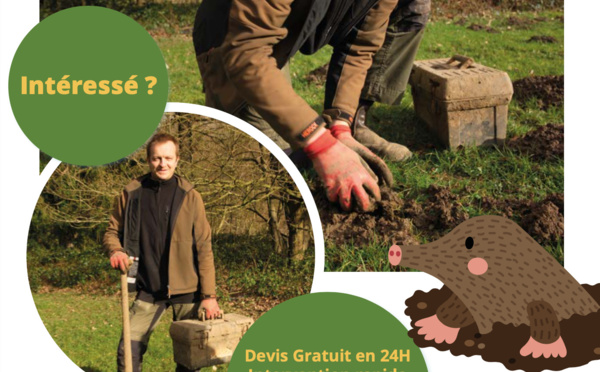 Enfin un jardin sans taupes !  (Taupier en Brabant wallon)