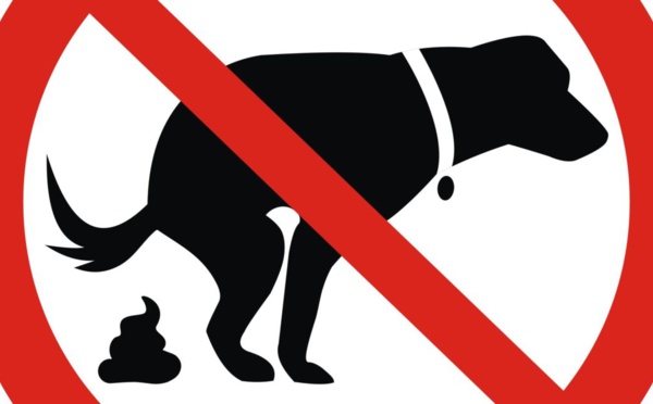Une guerre contre les excréments canins : Instauration du fichage ADN des chiens. Une idée pour le BW ?