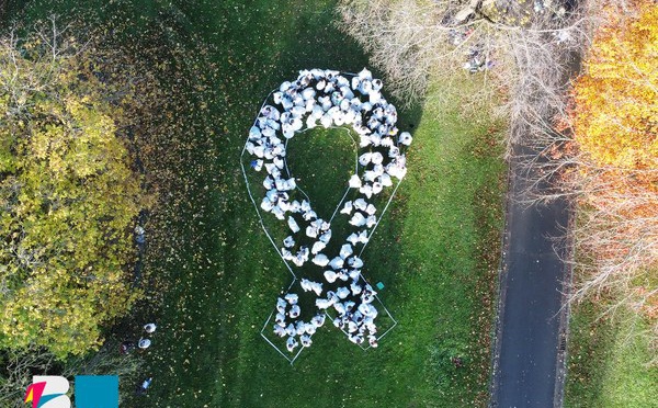 Campagne " Ruban blanc " du 25 novembre au 6 décembre 2023