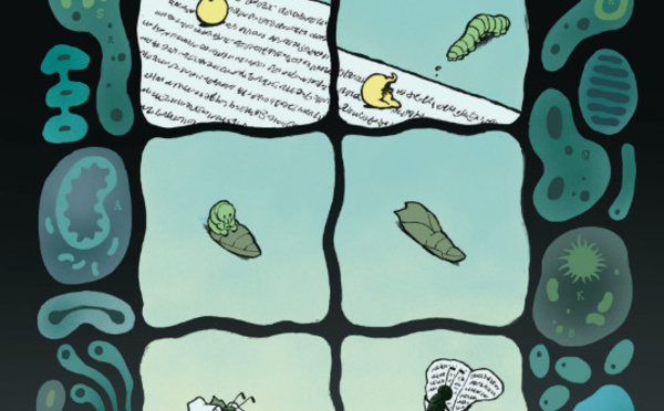 Découvrez le Festival "Les Nuits d'encre" à Waterloo : Métamorphoses littéraires en perspective