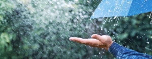 La Prime Eau Pluviale de Wavre : Encouragement à la Gestion Durable des Eaux de Pluie