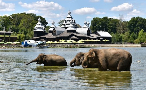 Voyage des seniors à Pairi Daiza : Une aventure inoubliable!