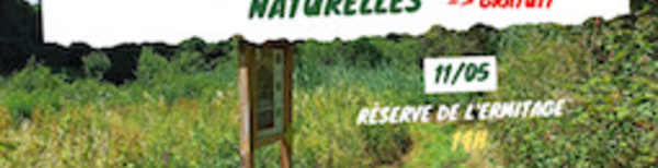 Exploration au cœur de la nature : La réserve de l'Ermitage à Braine-le-Château