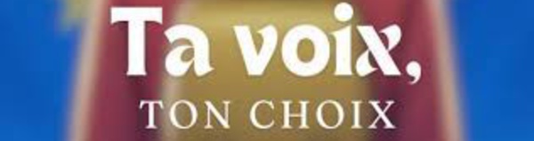 Éducation civique : Soirée d'information pour les nouveaux électeurs de Wavre