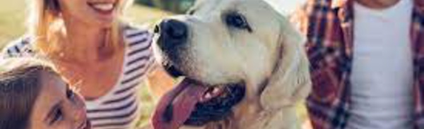 Conférence à Waterloo : "Mieux comprendre votre chien" avec Bernard Steimes