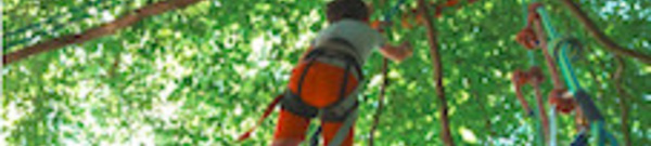 Ottignies : Un dimanche enchanté au Bois des Rêves avec ADN - Art dans la nature !