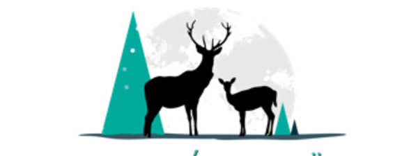 Louvain La Neige 2015 !