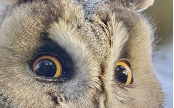 Le Tour du Monde des Animaux avec Tanguy Dumortier